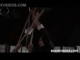 Terikat shibari digantung dan spanked